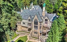 Castle In The Forest